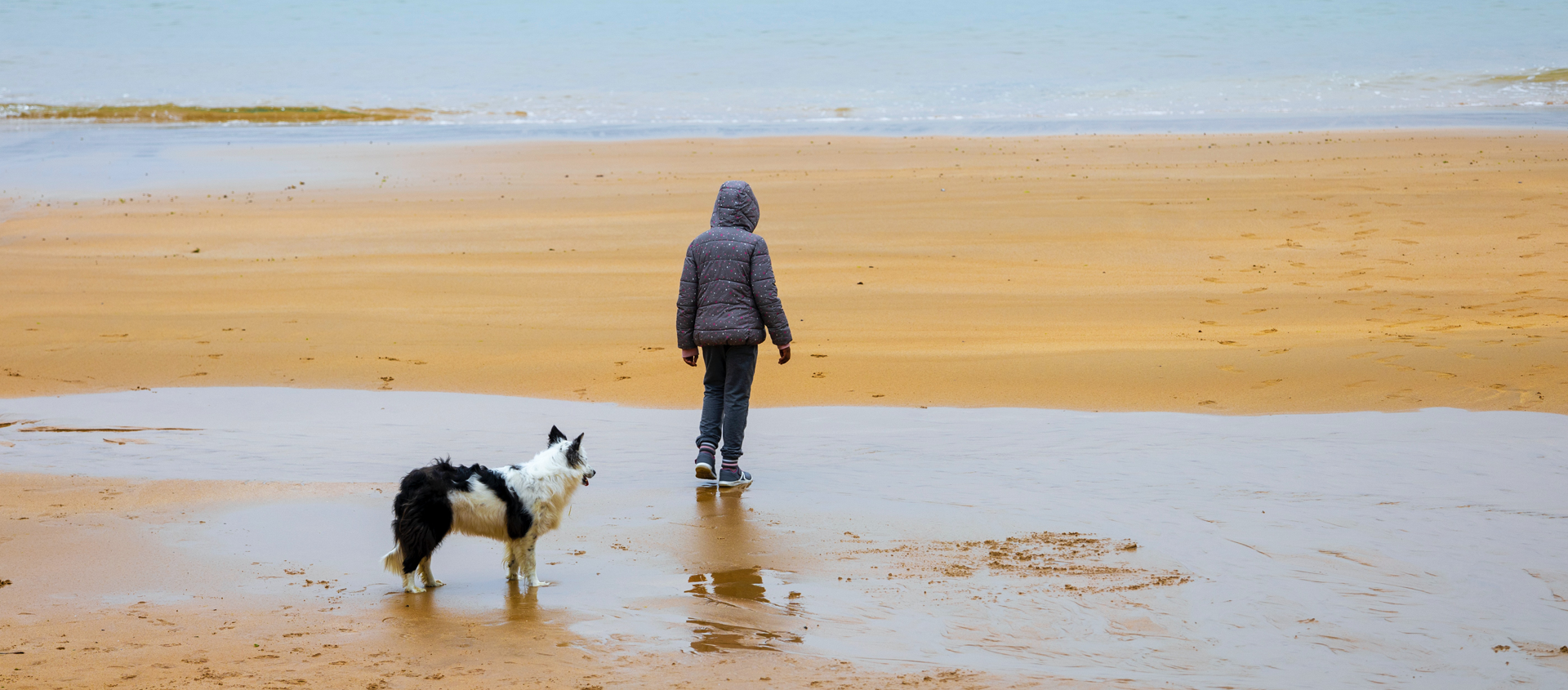 A child stands alone on a beach with a dog
