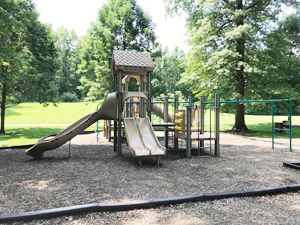 Bradley Nature Park play structure